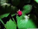 Фотография Фазулзяновой Альбины
