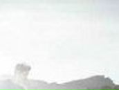 Ольга Шалашова ˜”*°•.♥.•°*”˜ | Санкт-Петербург