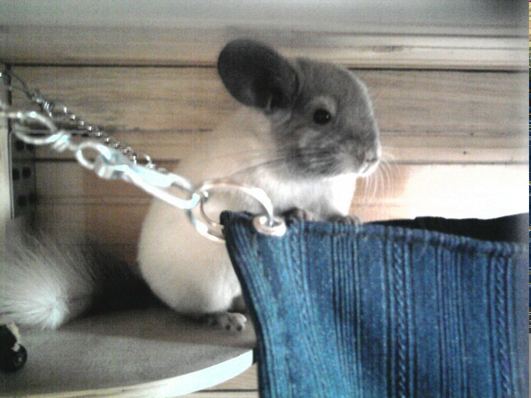 Марина Шуршулина | Москва