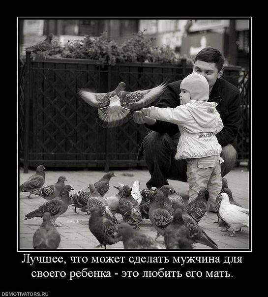 №64, Oll Streltsov, Одесса №64, Oll Streltsov, Одесса