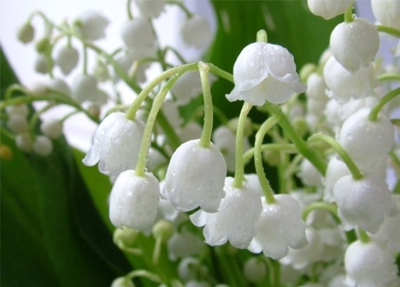 Елена Усова | Уфа