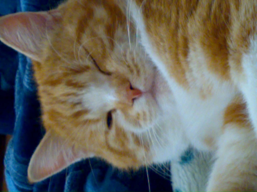 Игорь Михайлов | Кропивницкий / Кировоград