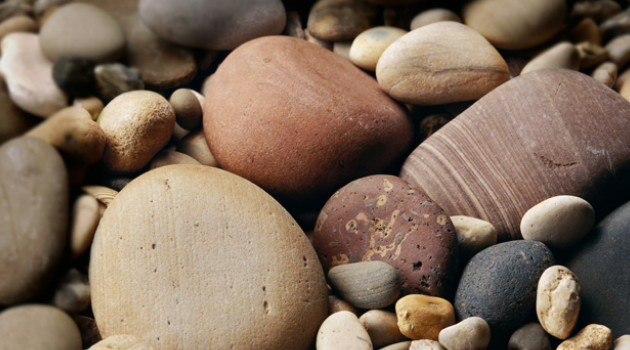 Наташа Попова | 