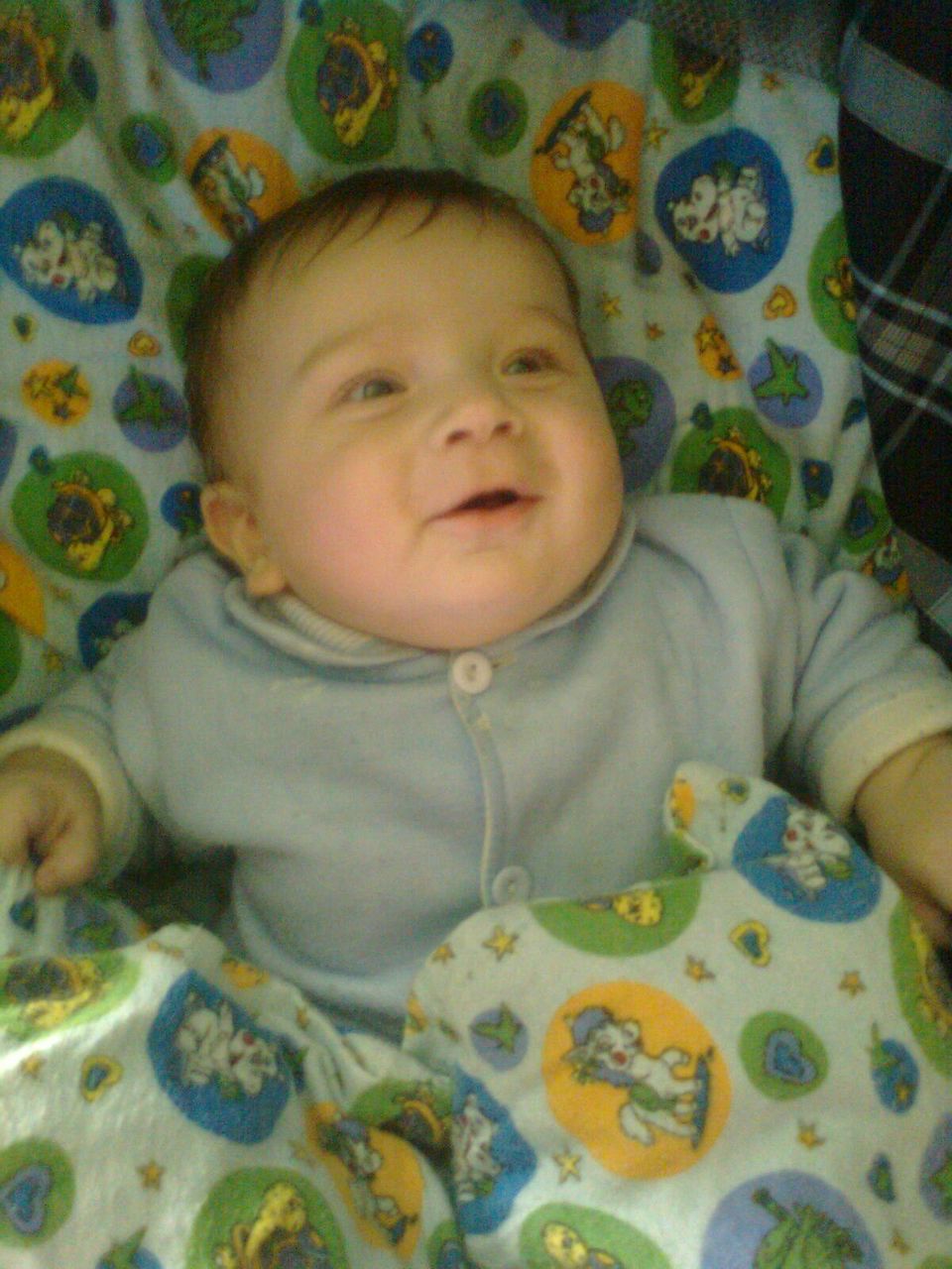 Янык Яцковский хак | Житомир