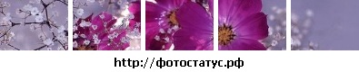 №4, Екатерина Гришина, Кострома, Россия №4, Екатерина Гришина, Кострома, Россия