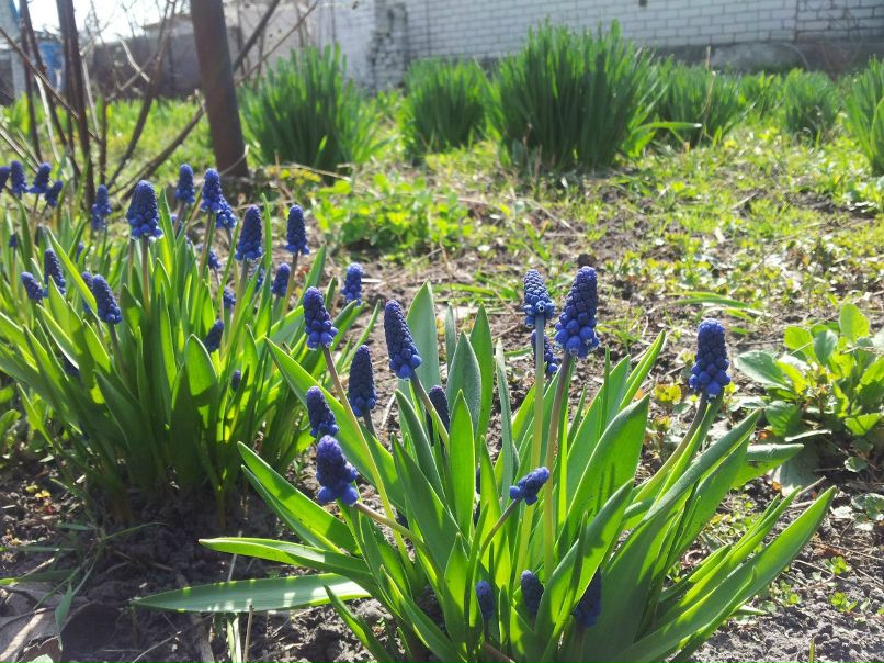 Евгений Александров | Киев