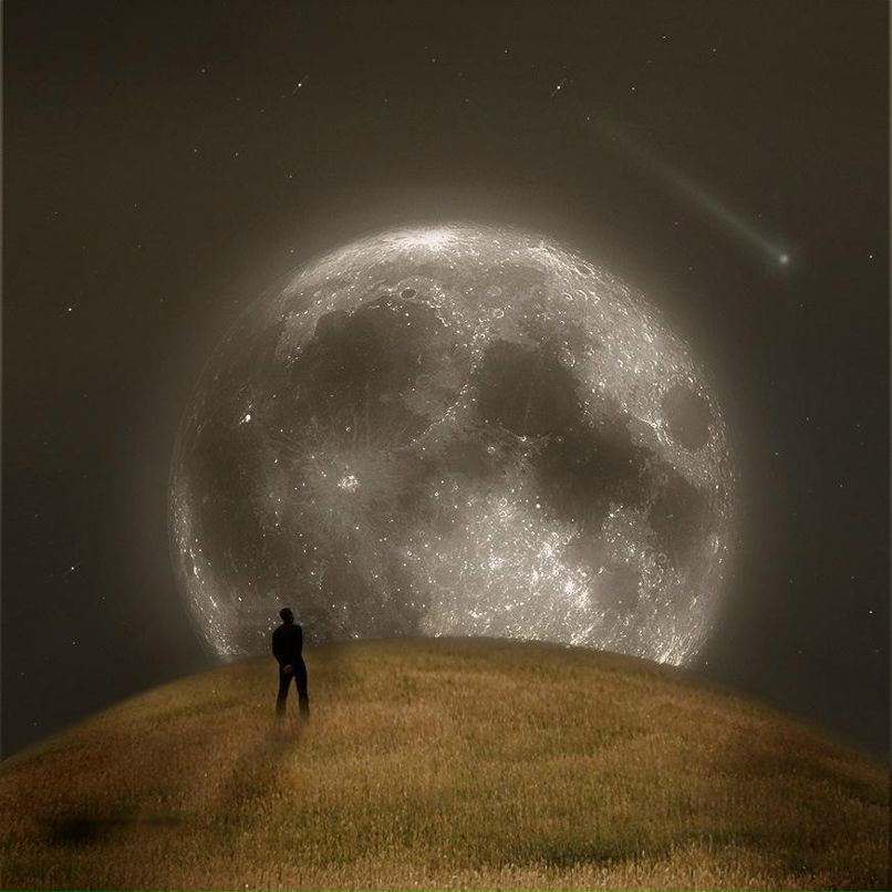 Виталий Пехтерев | 