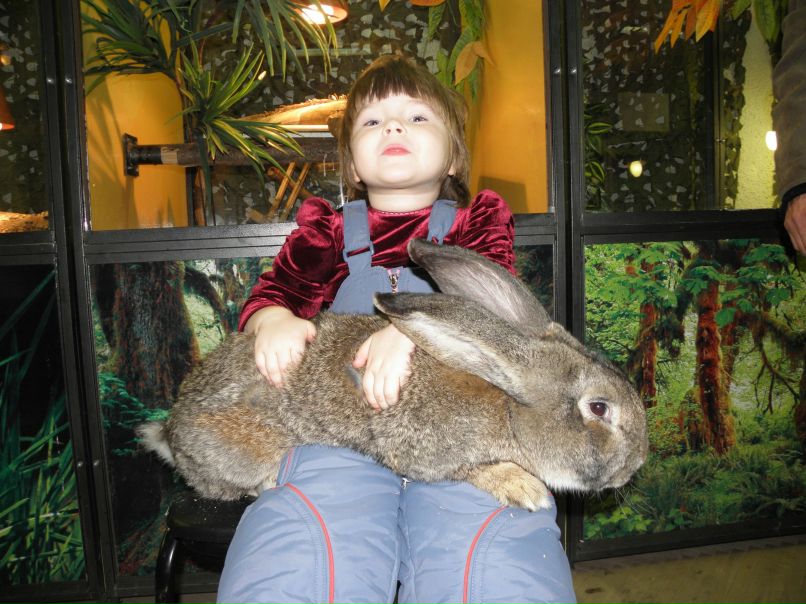 Наталья Катаева | Подольск