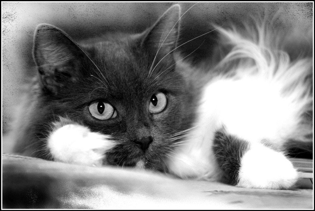 Katrin Pozdneeva | Совхоза «Россия»