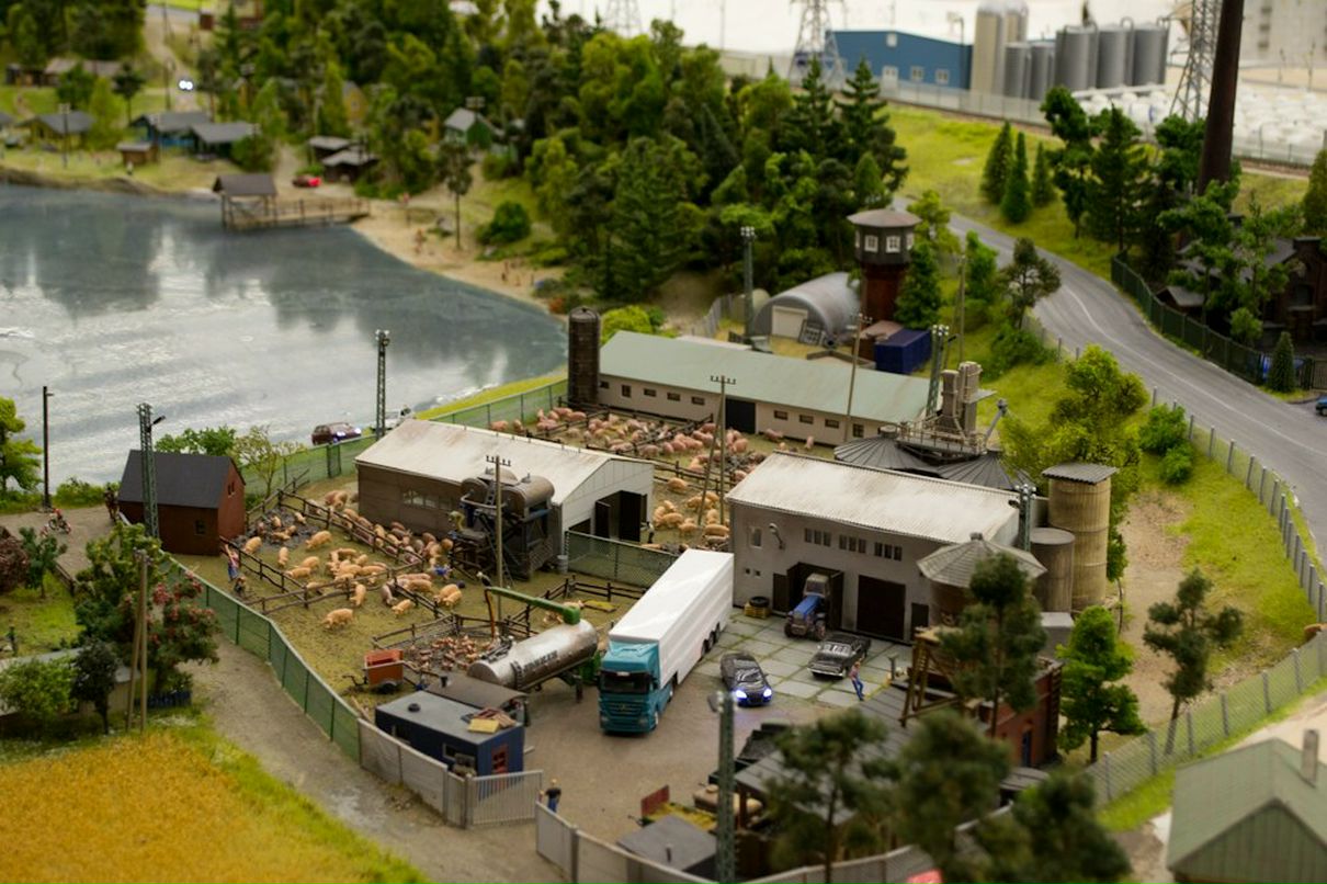 Жека Моисеев | Санкт-Петербург