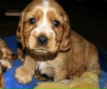 №12, Оля Гонакова, 6.5.1986, 39 лет, Могилёв, Беларусь