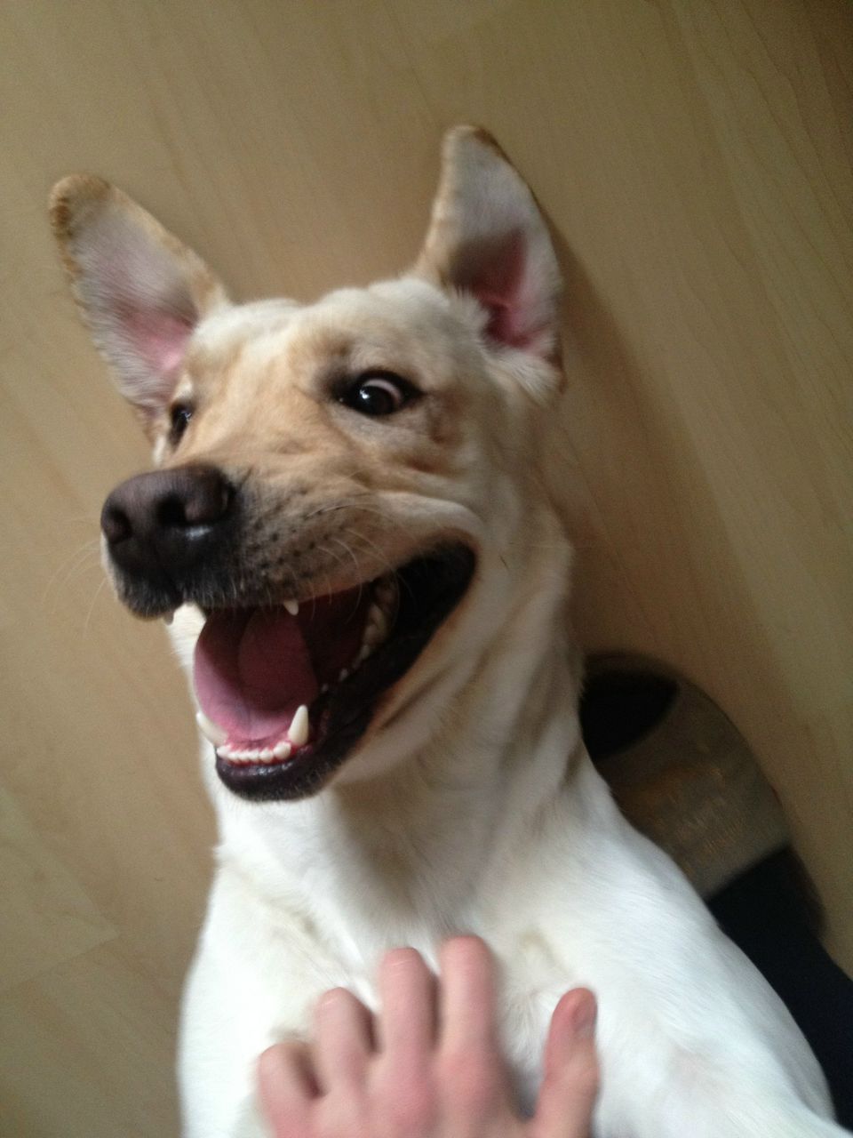 Аркадий Андриенко | Одесса