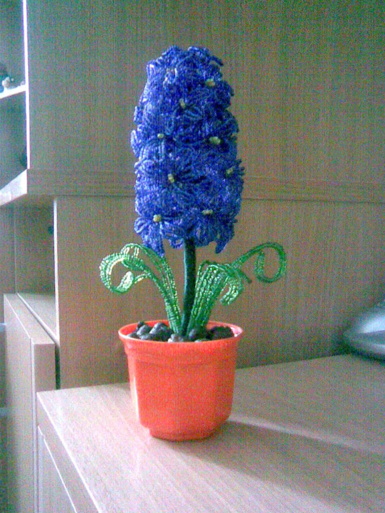 Юлия Ларионова | Каменногорск