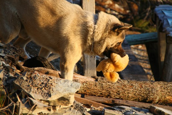 №16, Семен-Петровичь Жечь, Новороссийск, Россия №16, Семен-Петровичь Жечь, Новороссийск, Россия