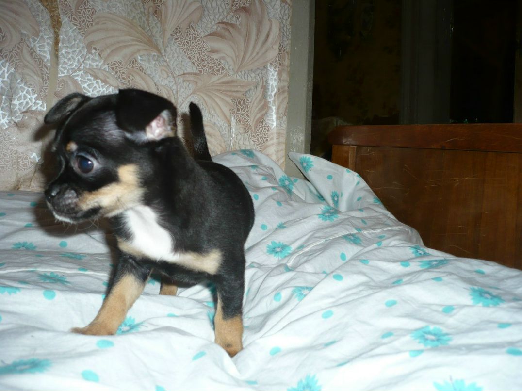 Наталия Ионова пани Чуня | Москва