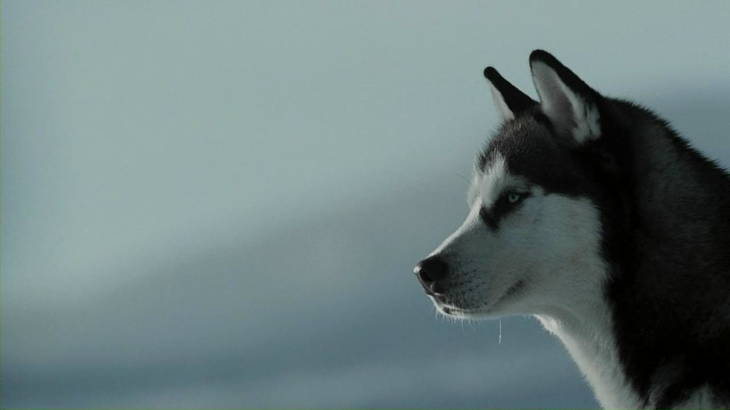 Екатерина Краснова | Херсон