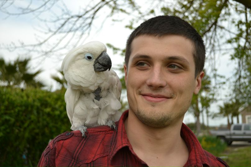 Станислав Емельяненко | San Francisco