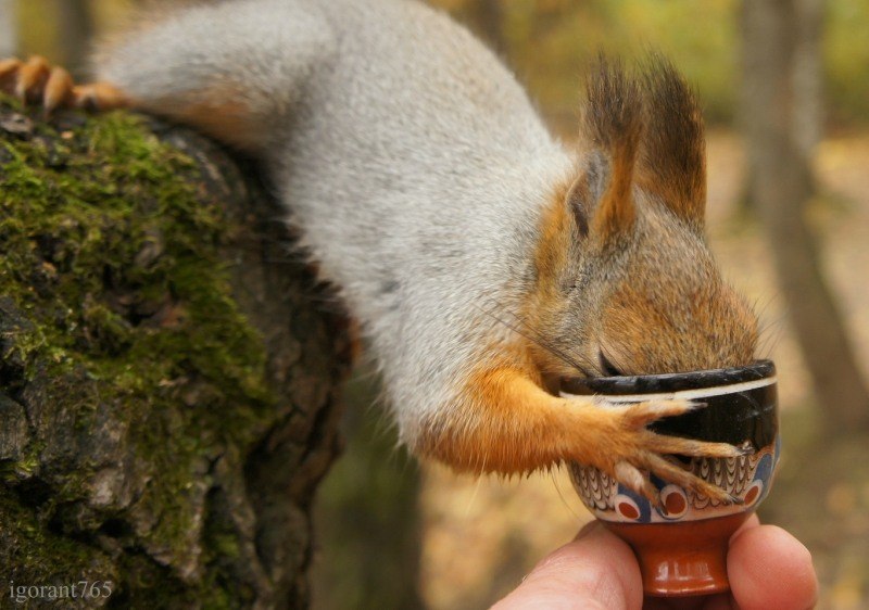 Алексей Шутов leheen | Яр (поселок)