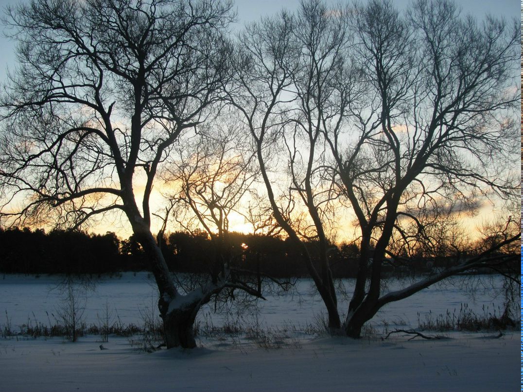 Андрей Дудко | Крупки