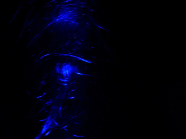 №5, Юрий Борденюк, Одесса №5, Юрий Борденюк, Одесса