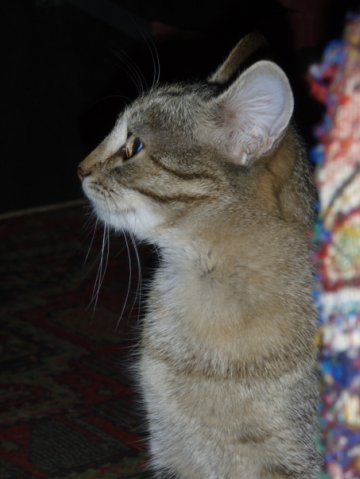 №140, Алёна Таранович №140, Алёна Таранович