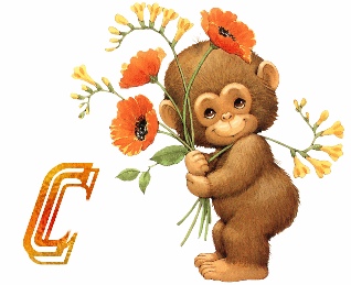 Обезьяна алфавит с цветами, image #3