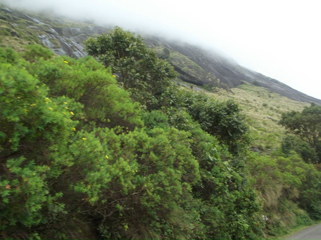 Игорь Гоголев | Тель-Авив