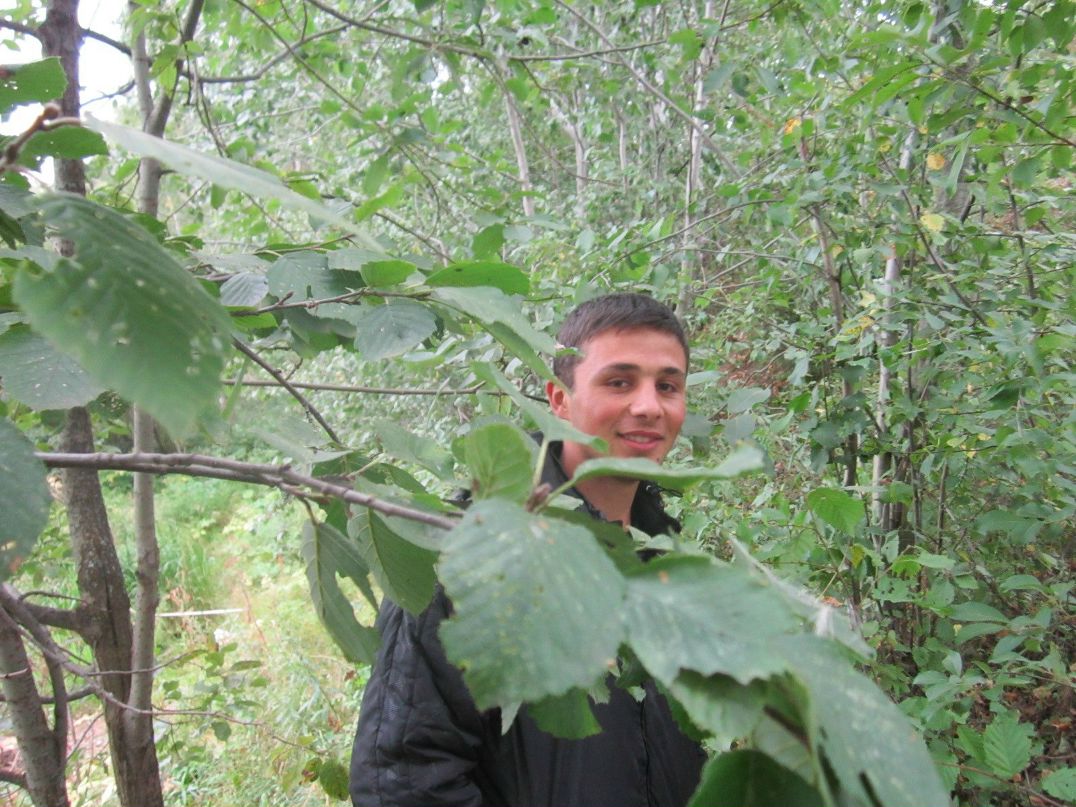 Alexandr Kapakli | Комрат