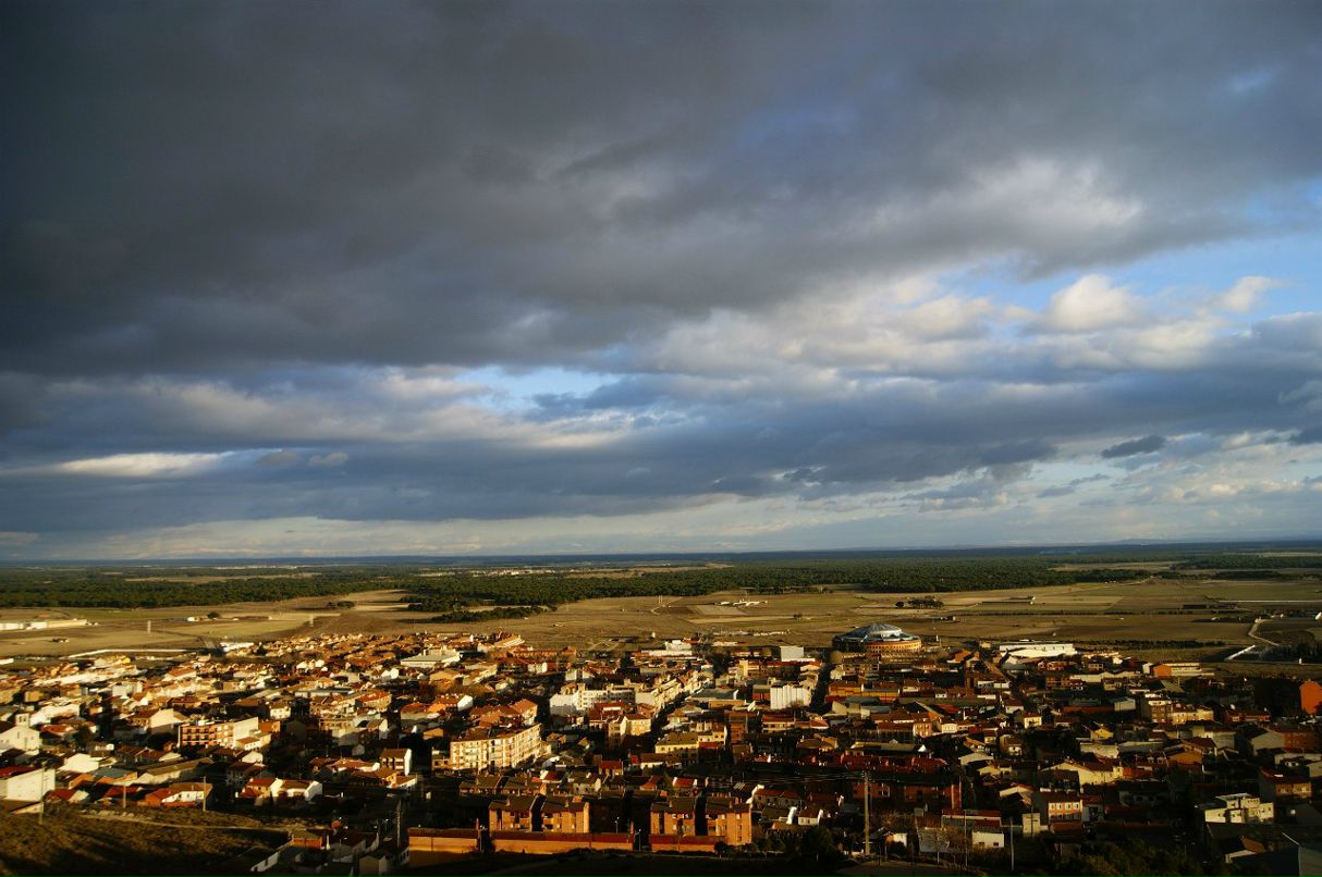 Alona Trigueros Calvo | Valladolid
