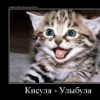 Аватар: Кисуля Мяуу