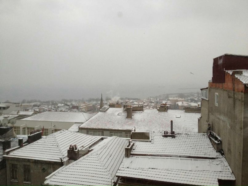 Demetry Liuntou | Могилёв