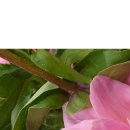 Анастасия Лытнева | Москва