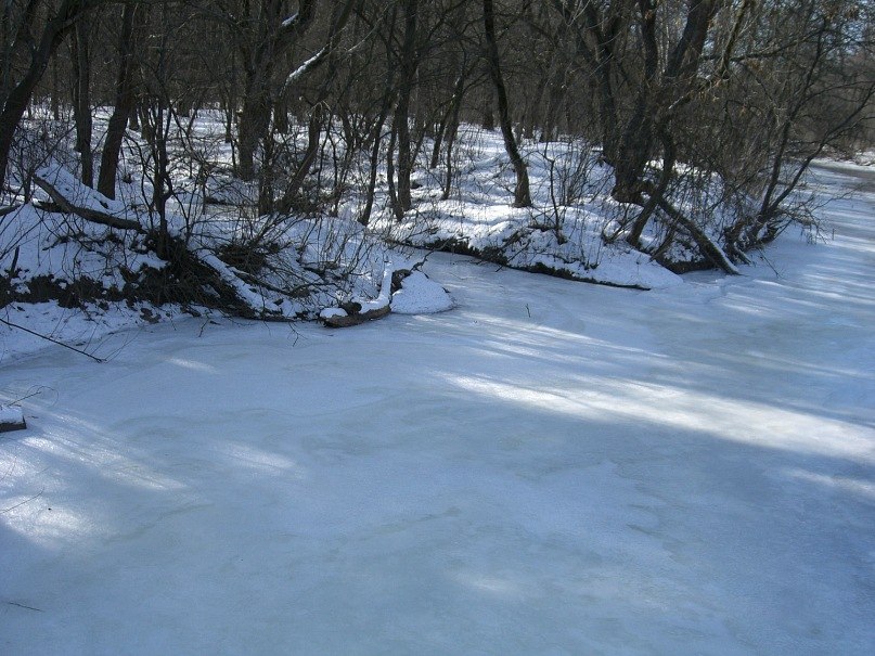 Антон Гончаров | Запорожье