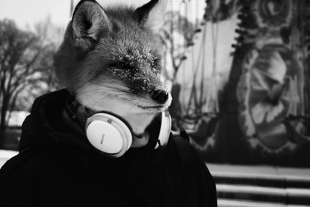 Егор Николаев | Якутск