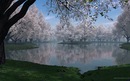 №37 Александр Химич