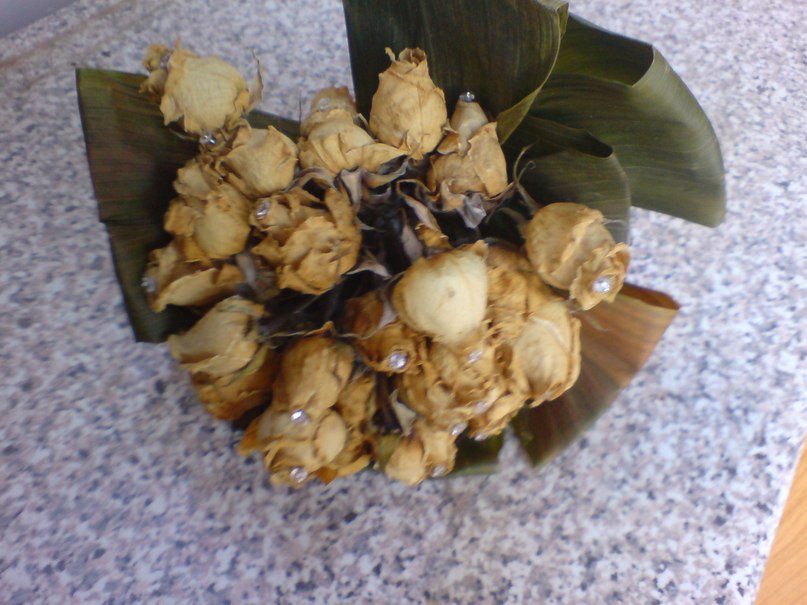 Elena Goncharenko | Paphos