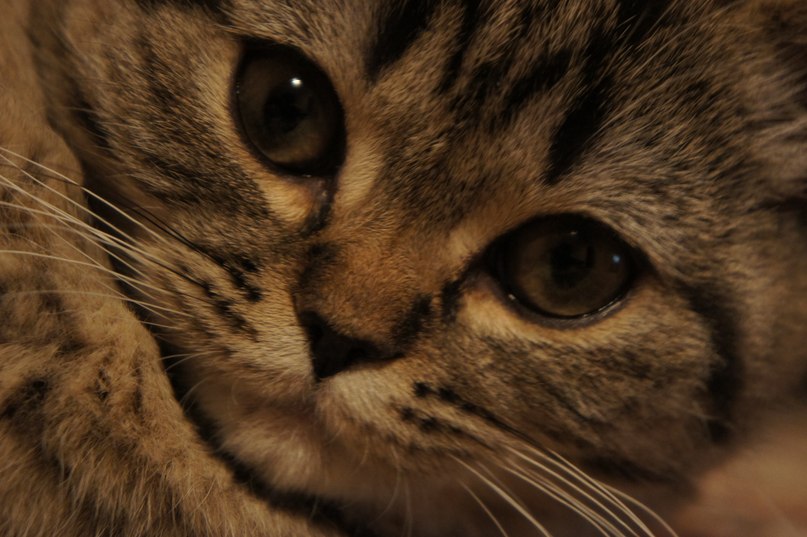 Эльвина Абдуллина | Казань