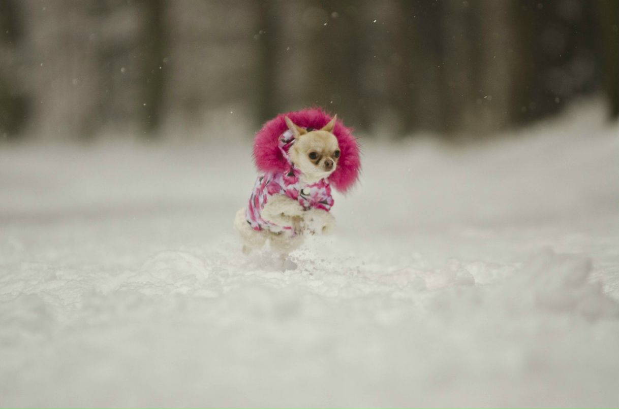 Наталья Андреева | 