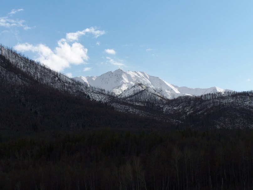 Павел Серкин | Кумора