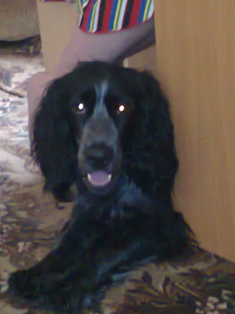 Альбина Захарова | Ужур