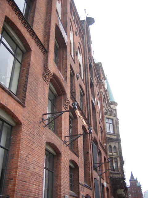 Елена Соломонова | Санкт-Петербург