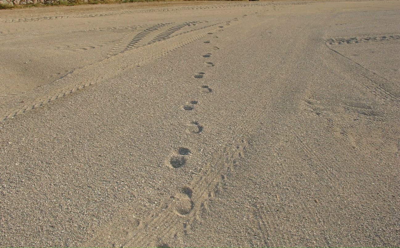 Галина Селиванова | 