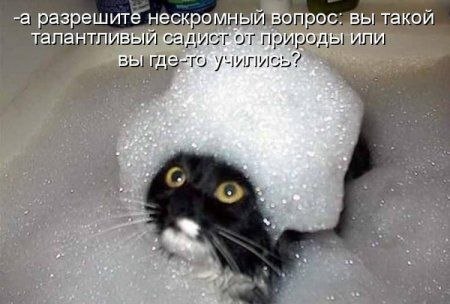 Андрей Стрельников | Минск