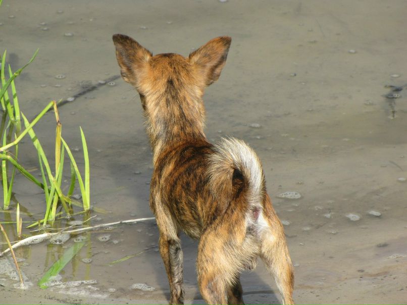 Ксения Хлыстова | Москва