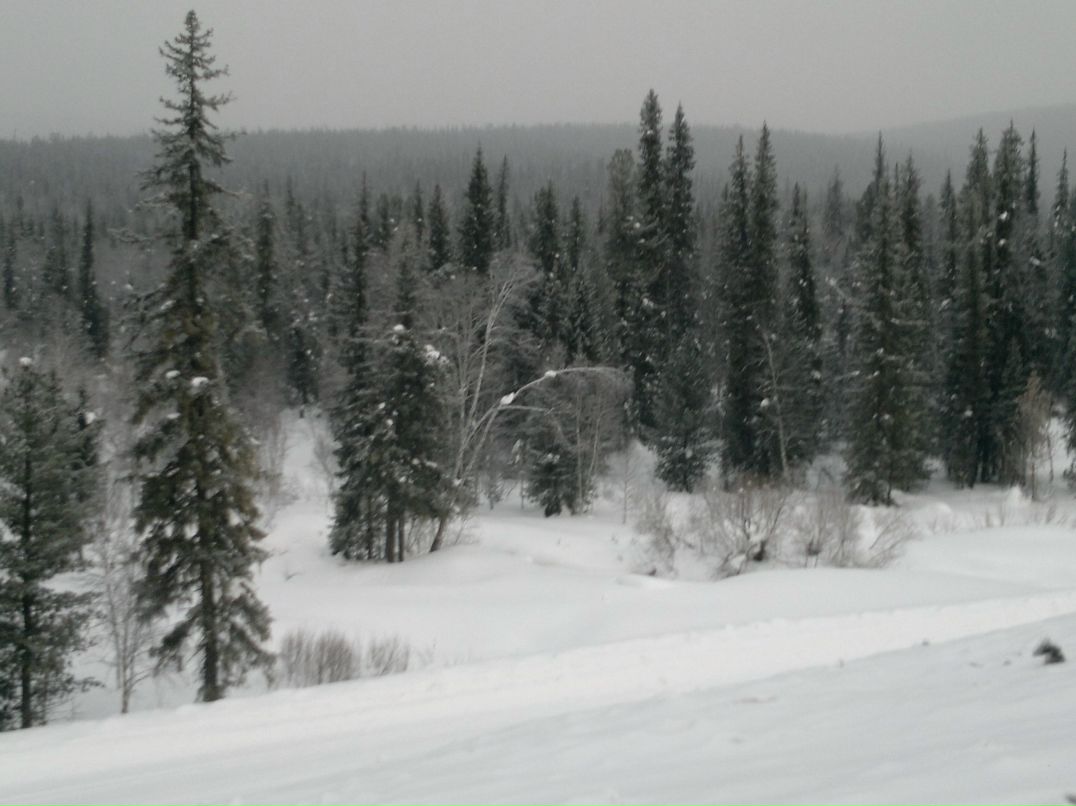 Ольга Поддубная | Новосибирск