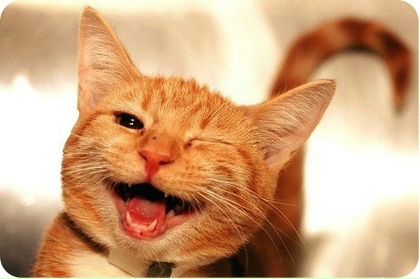 №124, Евгения Шовхалова, 44 года, Пенза №124, Евгения Шовхалова, 44 года, Пенза