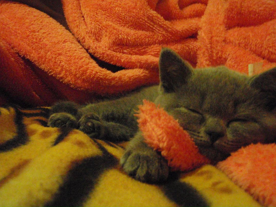 Оксана Романів | Киев