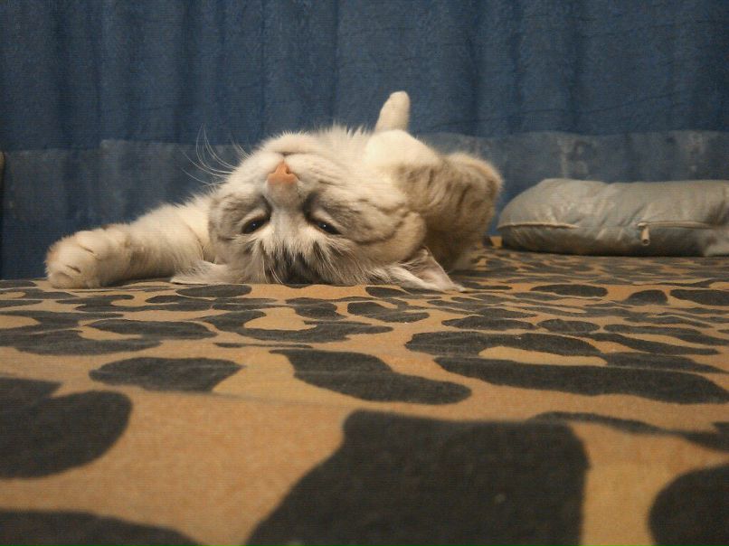 Ольга Красноперова | Москва