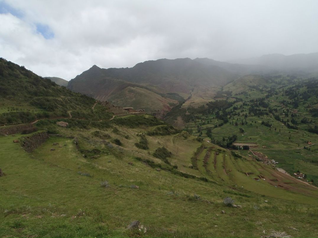 Елена Шмидко | Köln