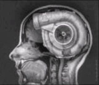 Славик Запорожец | Черкассы